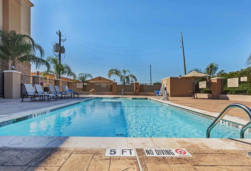 酒店 Hampton Inn & Suites Lake Jacksonclute