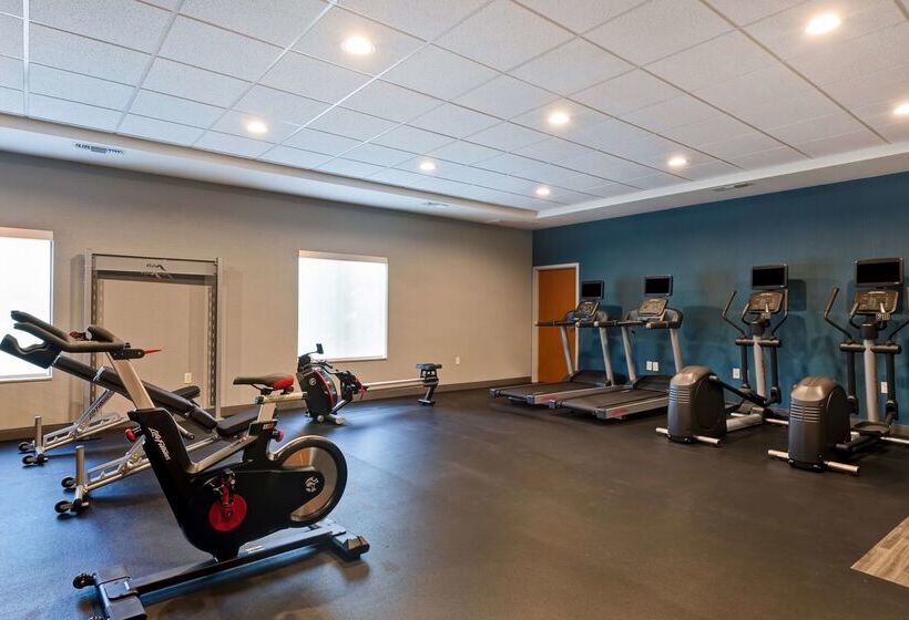 ホテル Hampton Inn & Suites Rohnert Park  Sonoma County