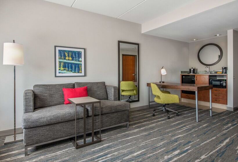 בית מלון כפרי Hampton Inn & Suitesdallas Allen