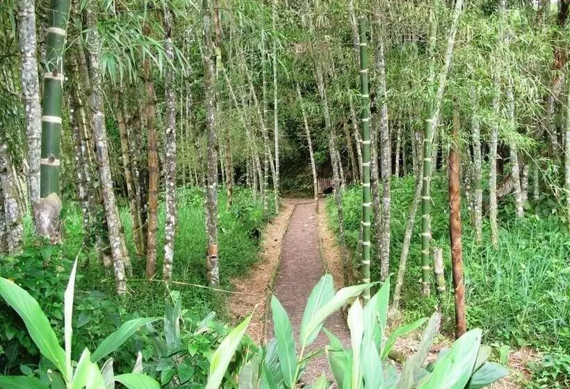 호텔 Hostería Sumak Pakari