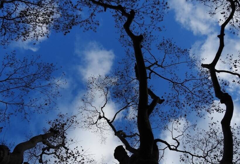 בית מלון כפרי Koyasan Sekishoin