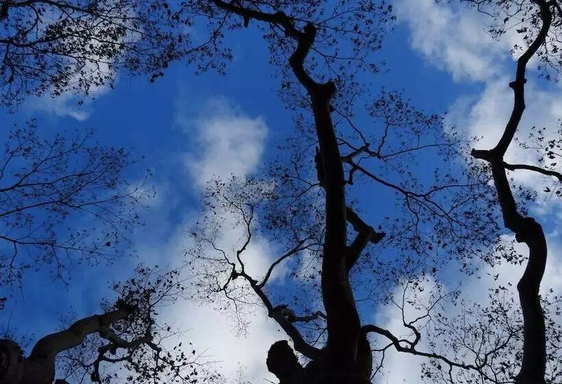 فندق Koyasan Sekishoin