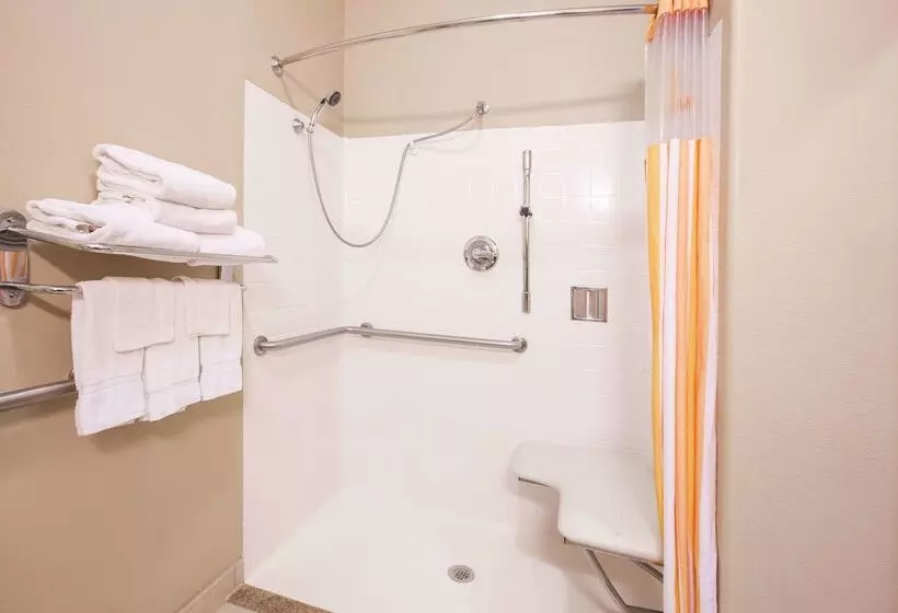 호텔 La Quinta By Wyndham Bay City