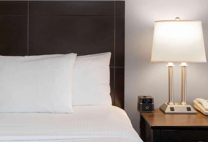 酒店 La Quinta Inn & Suites By Wyndham St. Augustine