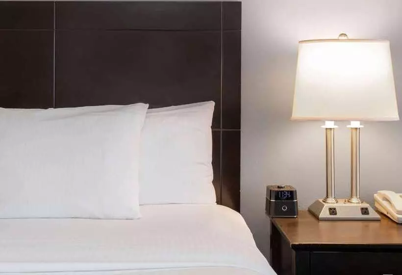 فندق La Quinta Inn & Suites By Wyndham St. Augustine