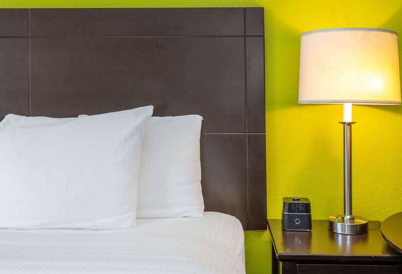 酒店 La Quinta Inn & Suites By Wyndham St. Augustine