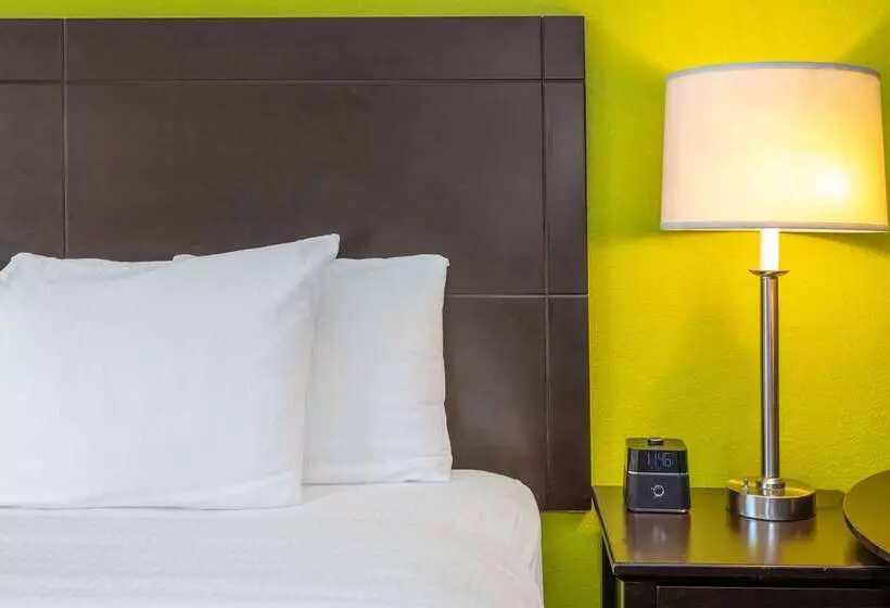 فندق La Quinta Inn & Suites By Wyndham St. Augustine