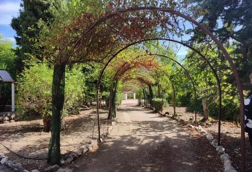 Casas Rurales Los Algarrobales