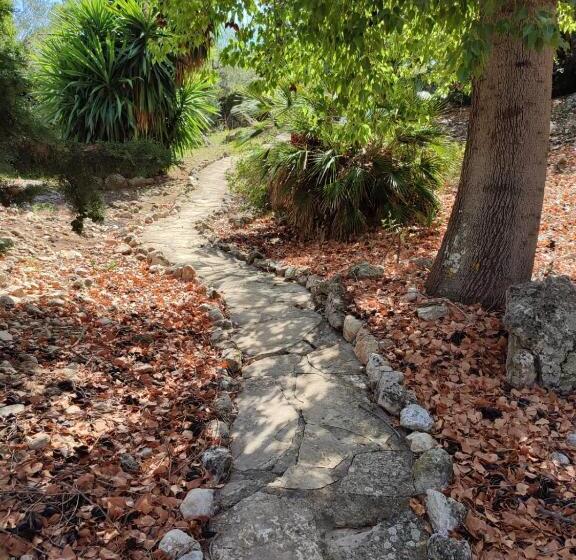 Casas Rurales Los Algarrobales