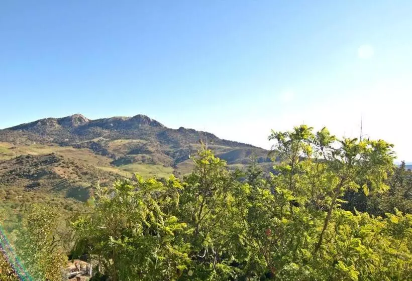 Casas Rurales Los Algarrobales