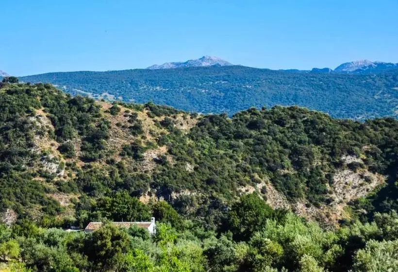 Casas Rurales Los Algarrobales