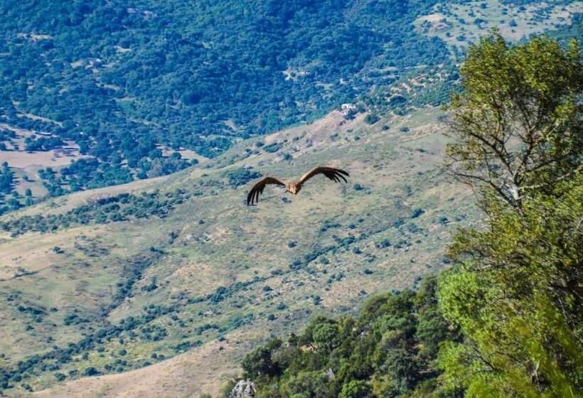 Casas Rurales Los Algarrobales