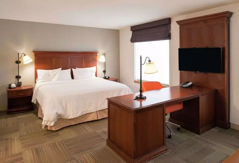 Hampton Inn & Suites Rifle