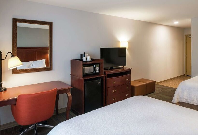 Hampton Inn & Suites Rifle