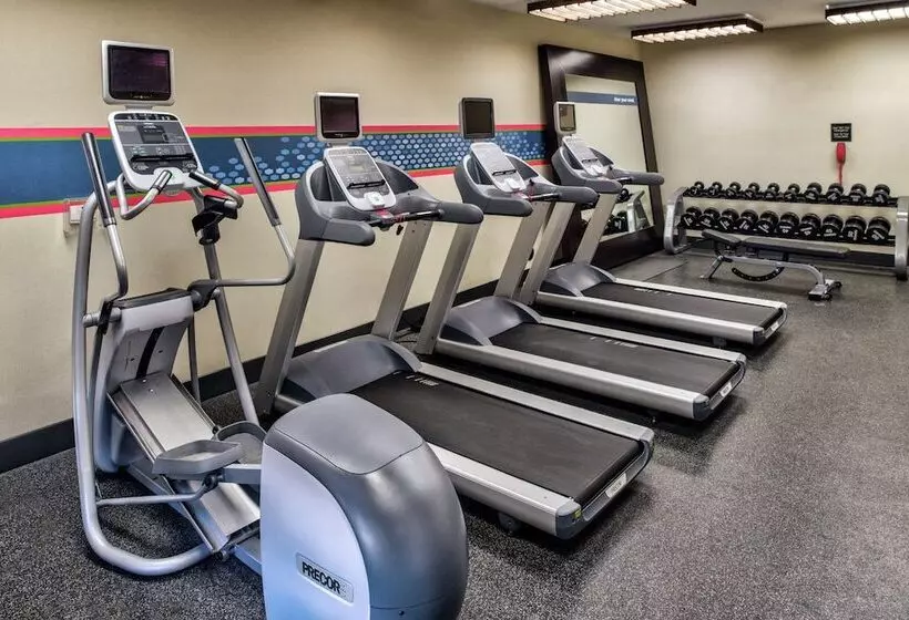 Hampton Inn & Suites Rifle