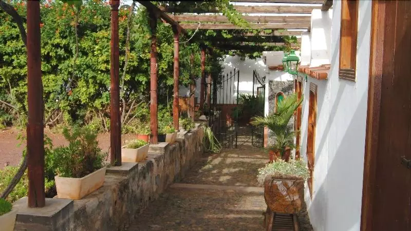 Homelike Century Nature House