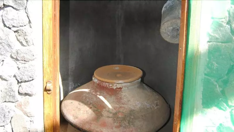 Homelike Century Nature House