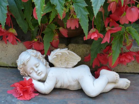 فندق Am Hehlentor