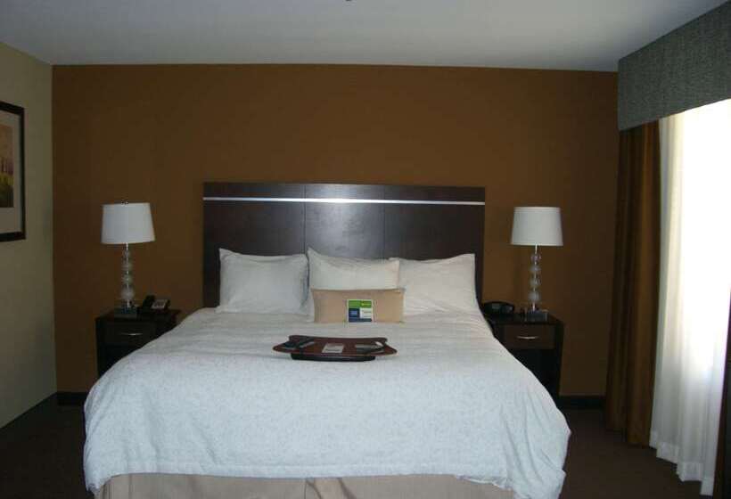 호텔 Hampton Inn & Suites Pueblo/north