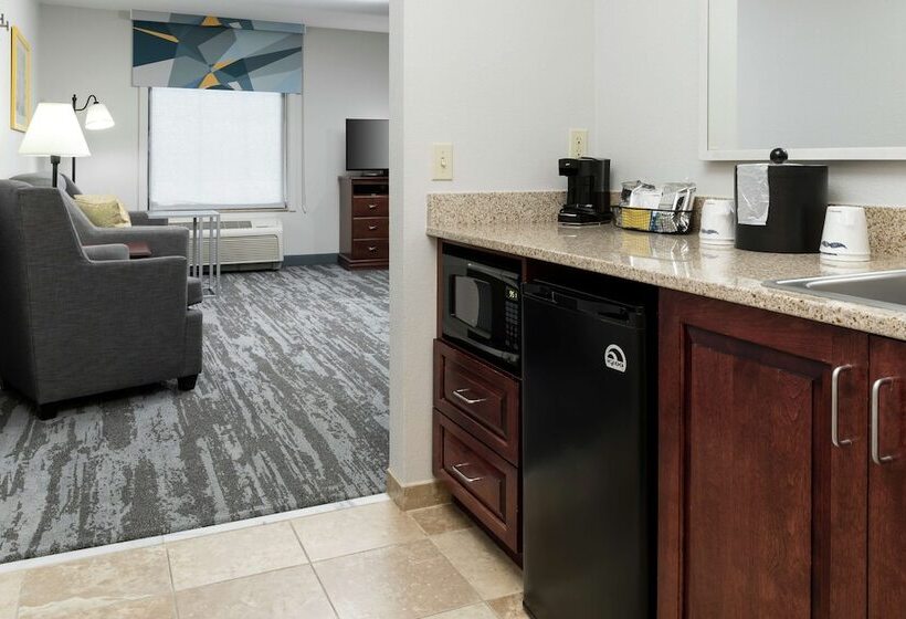 فندق Hampton Inn & Suites Rochester North