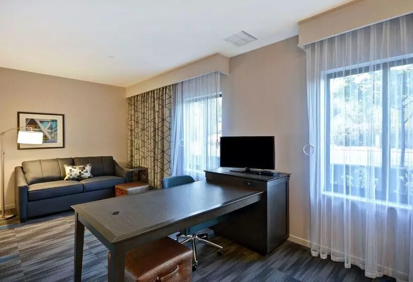 هتل Hampton Inn & Suites Los Angeles Burbank Airport