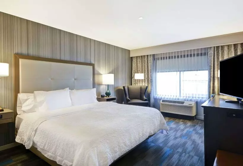 هتل Hampton Inn & Suites Los Angeles Burbank Airport