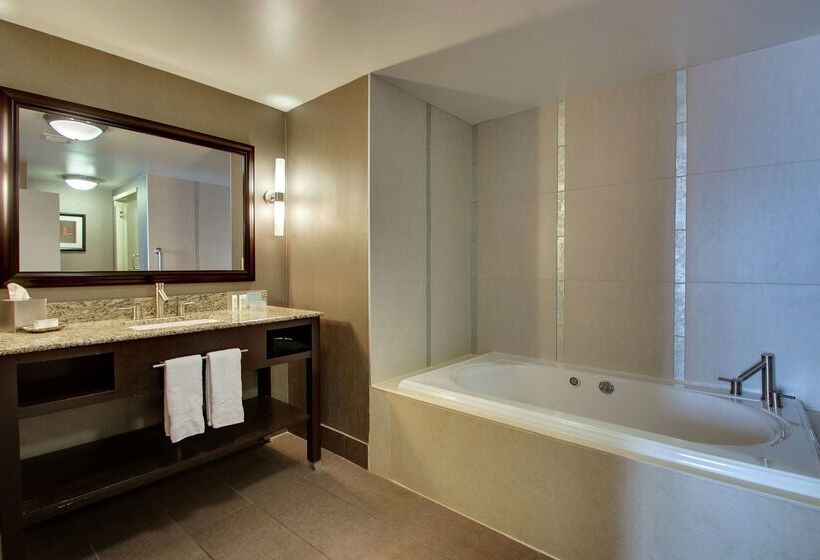 בית מלון כפרי Hampton Inn & Suites Shreveport/south