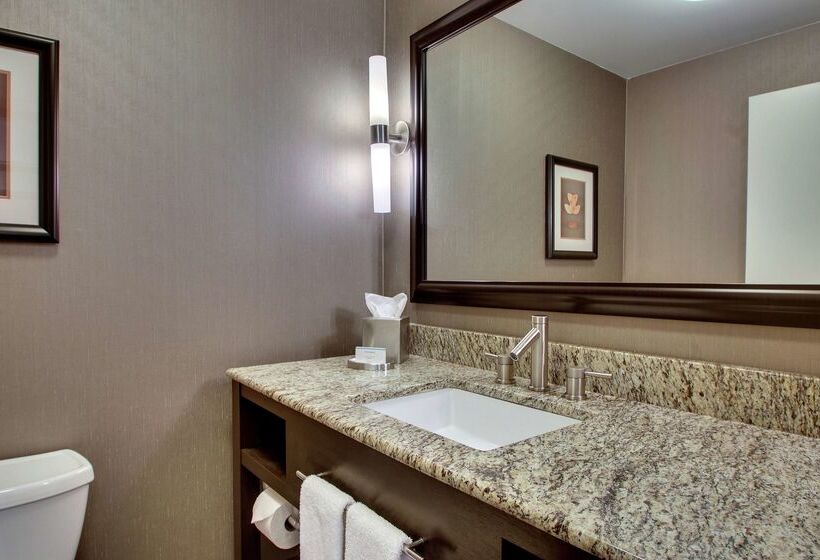 בית מלון כפרי Hampton Inn & Suites Shreveport/south