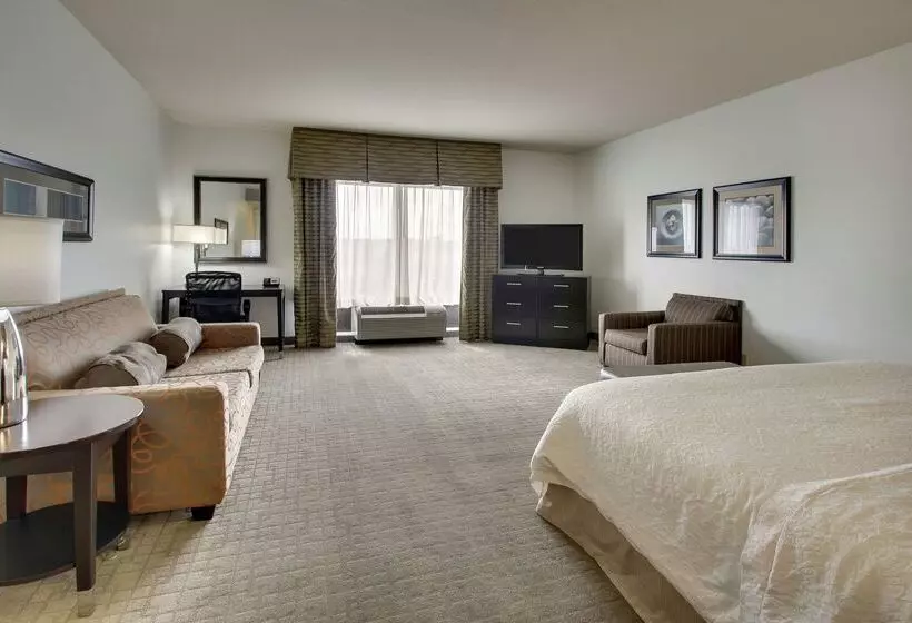 هتل Hampton Inn & Suites Shreveport/south