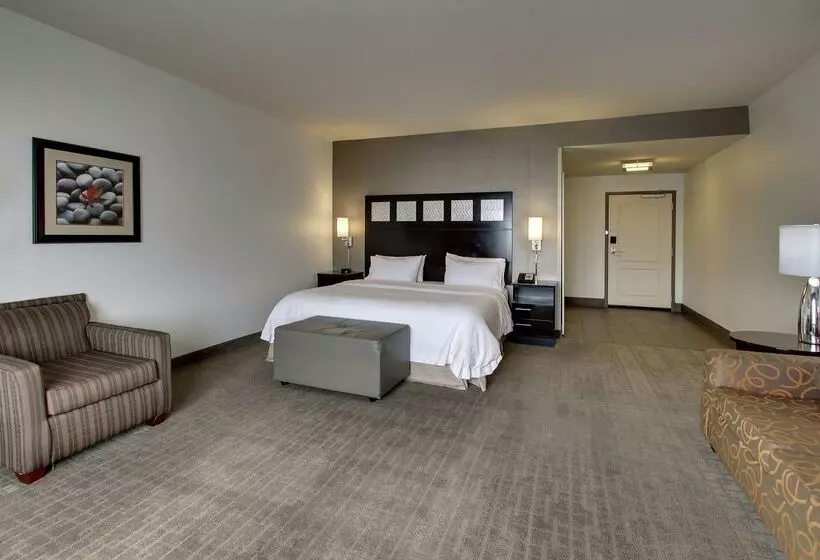 هتل Hampton Inn & Suites Shreveport/south
