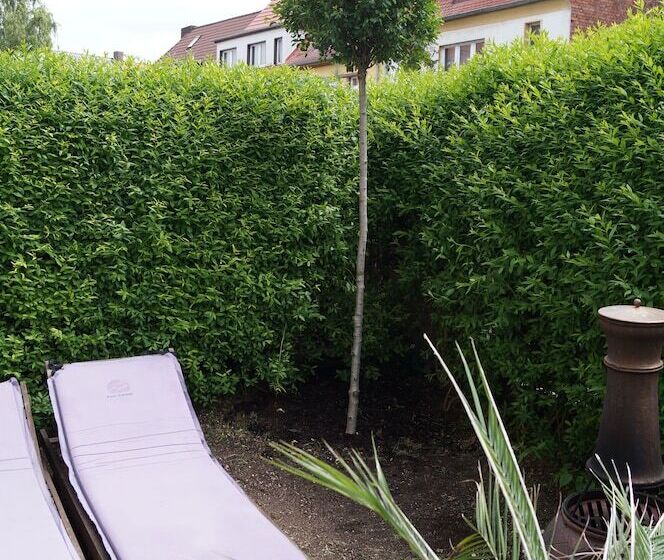 فندق Pension Wegerich