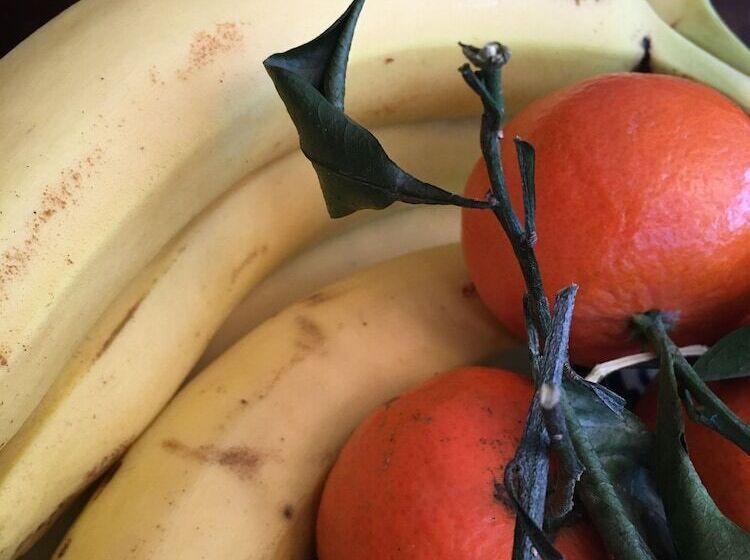 فندق Pension Wegerich