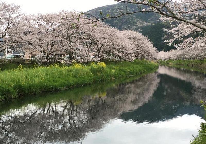 Отель Dogashima Onsen