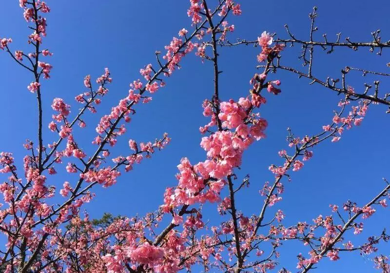 فندق Dogashima Onsen