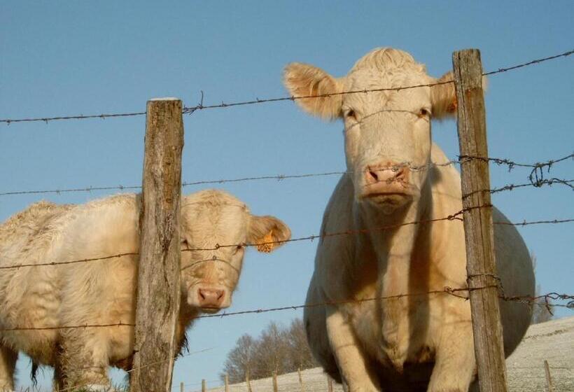 酒店 Le Verger Sous Les Vignes