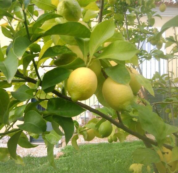 ホテル Quinta Do Ribeirinho