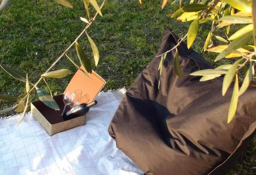 호텔 Quinta Do Ribeirinho