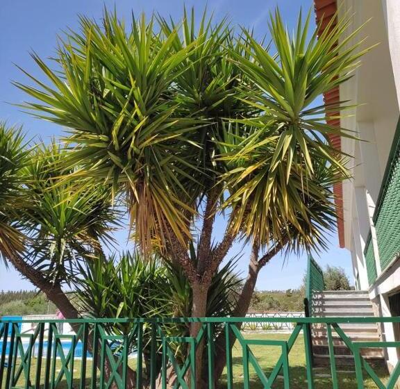 ホテル Quinta Do Ribeirinho