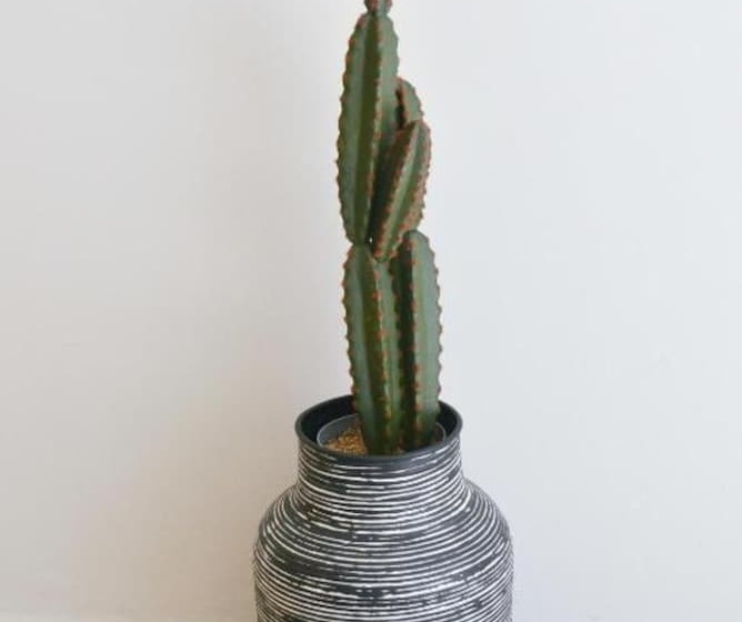 Princess Mare Hotel   Adults Only