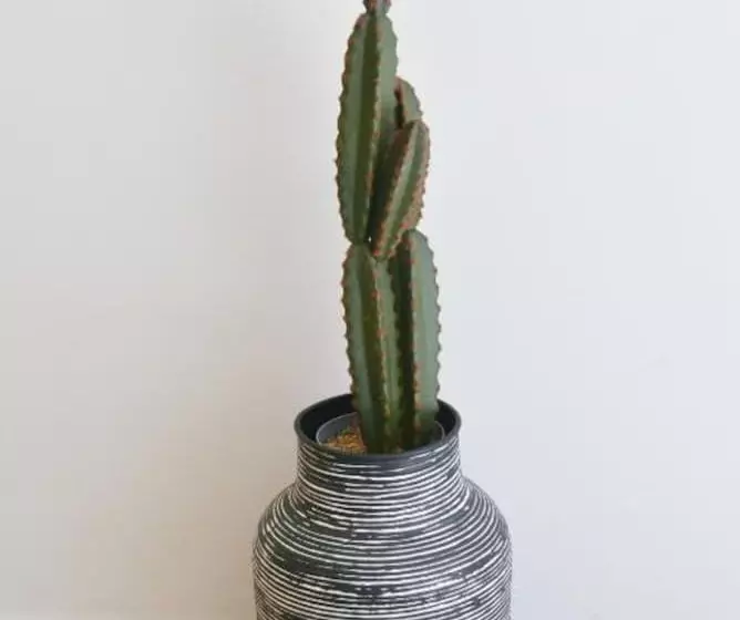 Princess Mare Hotel   Adults Only