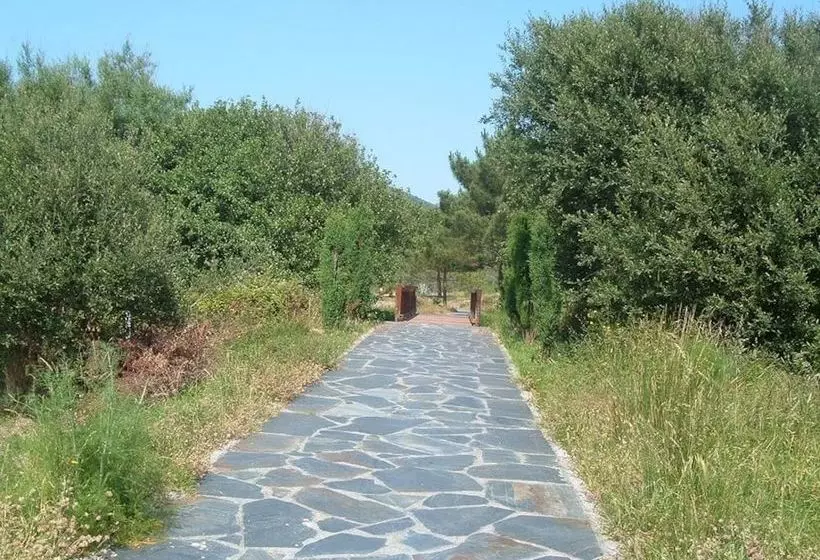 Viviendas Vacacionales Langosteira