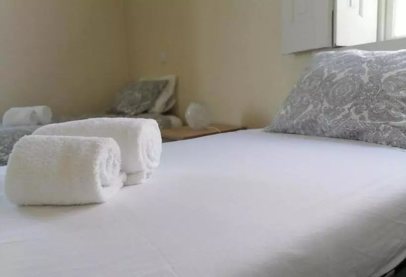 ベッドアンドブレックファースト Camelia Rooms