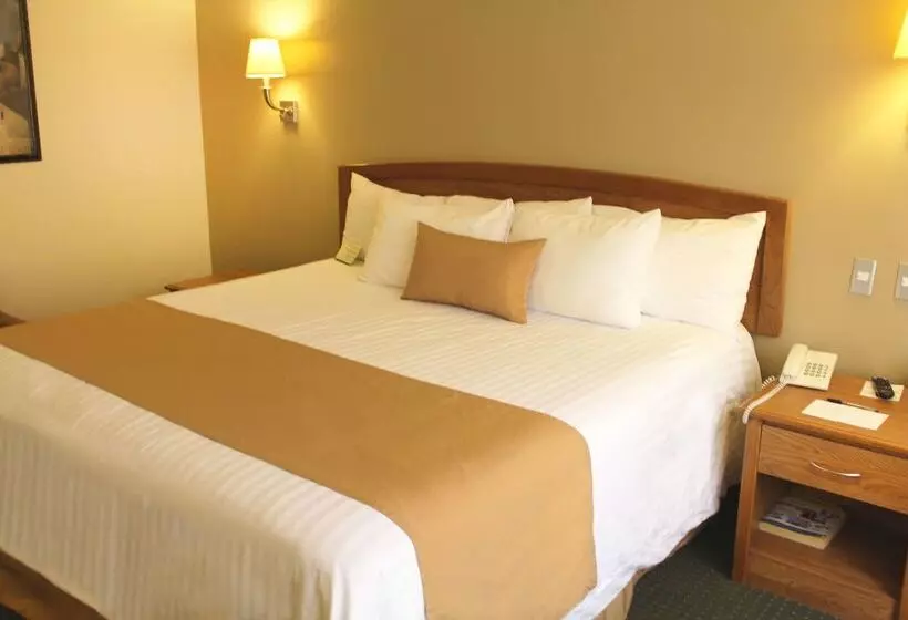 هتل Best Western Plus Chihuahua Aeropuerto