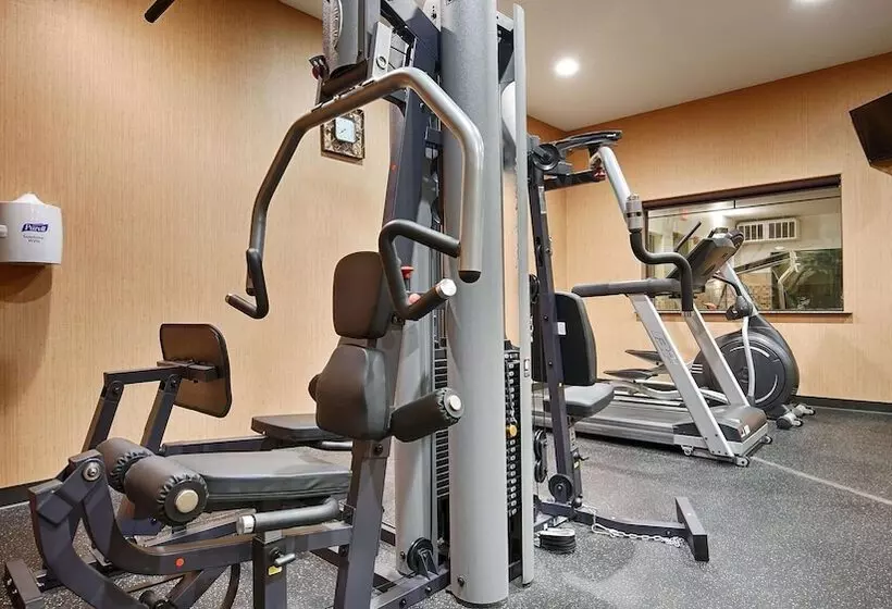 Hotel Best Western Plus Palo Alto Inn And Suites