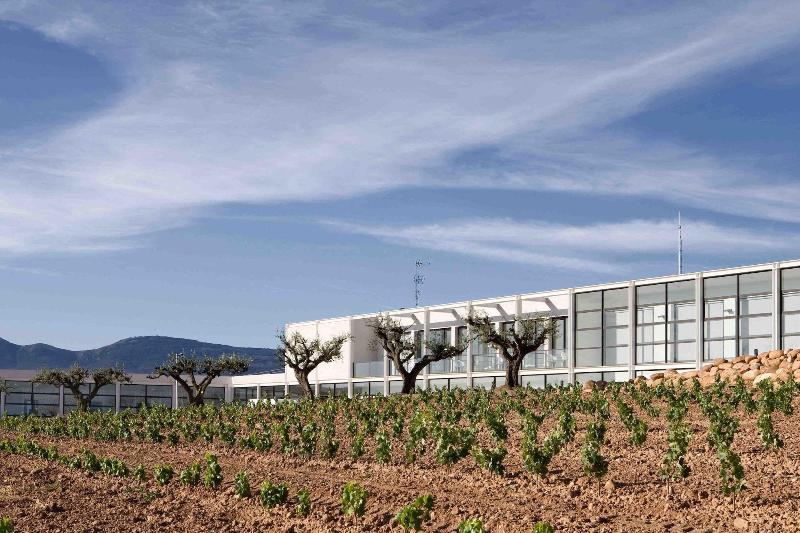 ホテル Bodega Finca De Los Arandinos