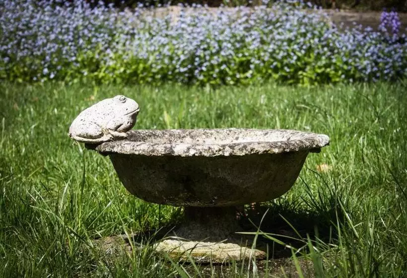 Casa Kalfu Hotel Boutique