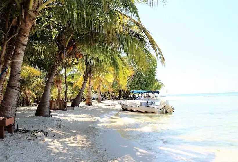 Hotel Chabil Mar Luxury Villas   Guest Exclusive Beach Resort