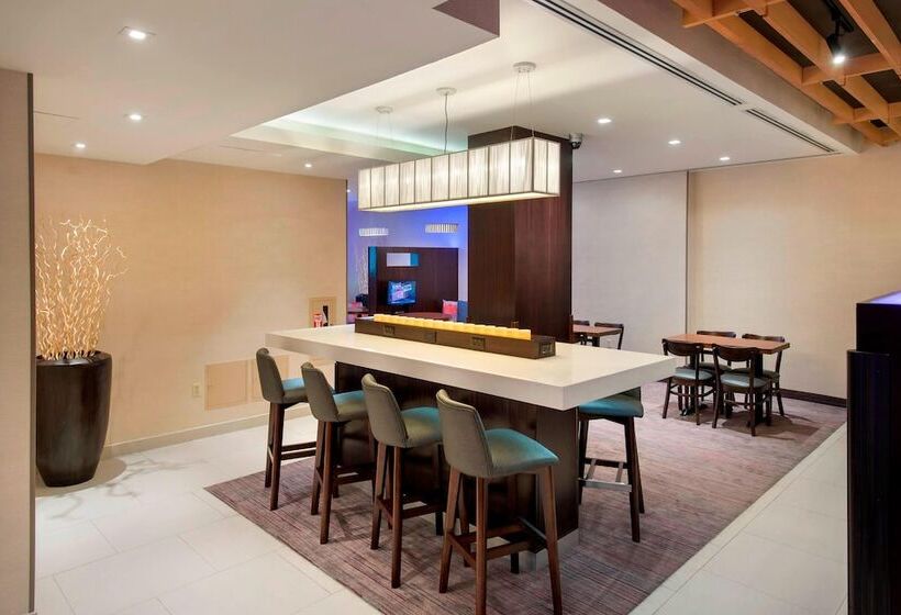 酒店 Courtyard By Marriott New York Manhattan / Soho