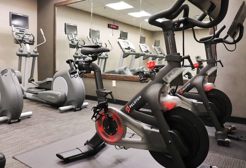 酒店 Courtyard By Marriott New York Manhattan / Soho