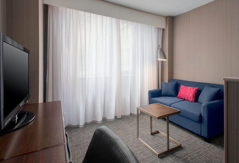 酒店 Courtyard By Marriott New York Manhattan / Soho